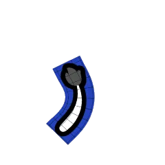 尾巴 自定义 5